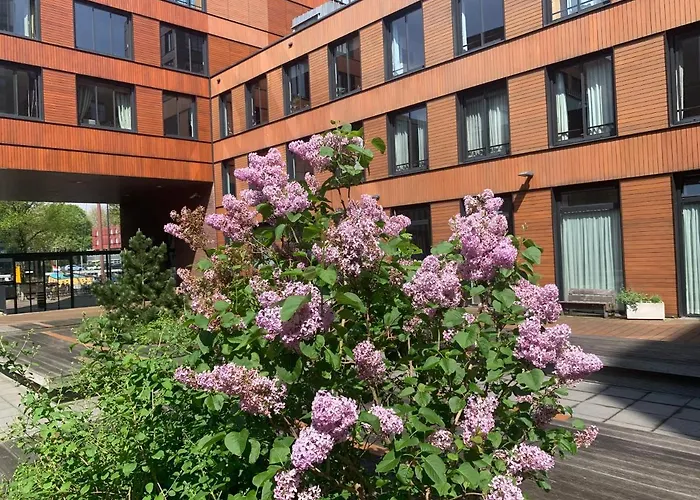 Studio-apartment In City-center 公寓