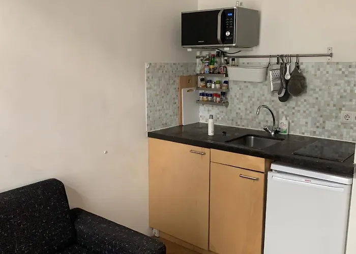 Studio-apartment In City-center