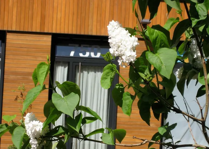 Studio-apartment In City-center 公寓 *