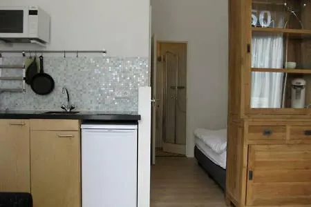 Studio-apartment In City-center