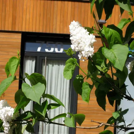 Studio-apartment In City-center Apartment *