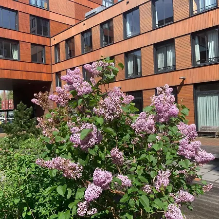 Studio-apartment In City-center 아파트